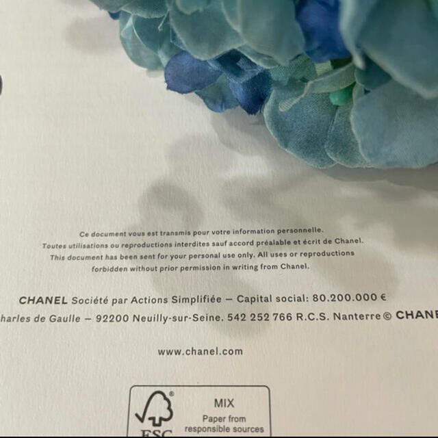 CHANEL(シャネル)のCHANEL お手入れクロス レディースのアクセサリー(その他)の商品写真