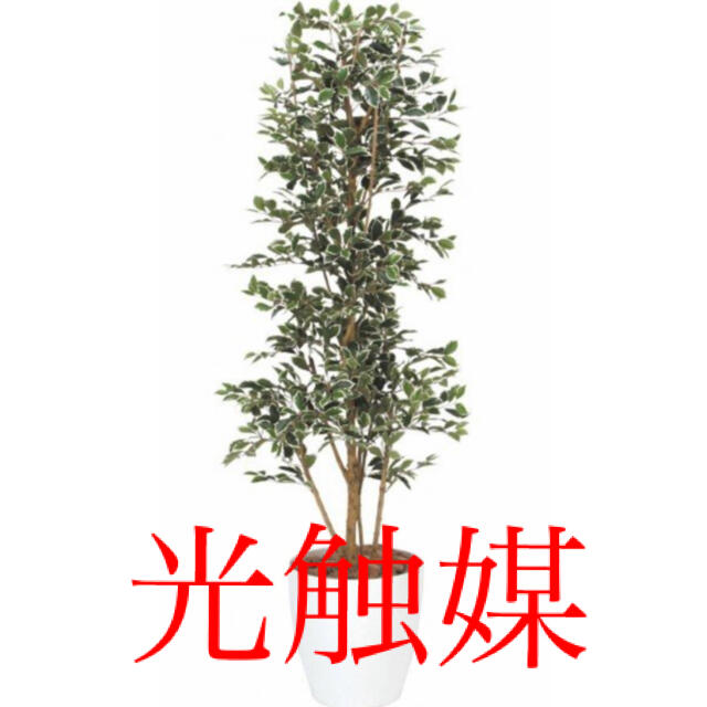 光触媒 人工観葉植物 ウォールグリーン 造花 インテリア ガジュマル 光触媒 人工観葉植物 ウォールグリーン 造花 インテリア ガジュマル