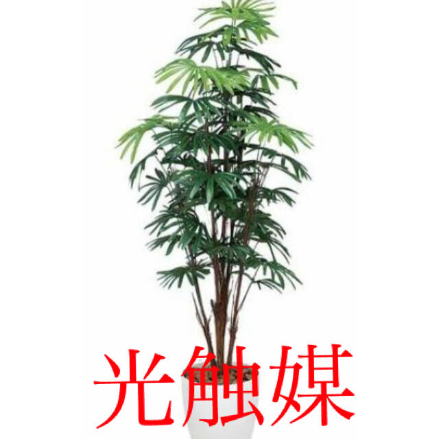 光触媒　人工観葉植物　ウォールグリーン　造花　インテリア　シュロチク180