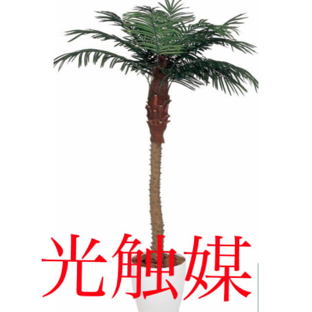 光触媒 人工観葉植物 ウォールグリーン 造花 インテリア フェニックス