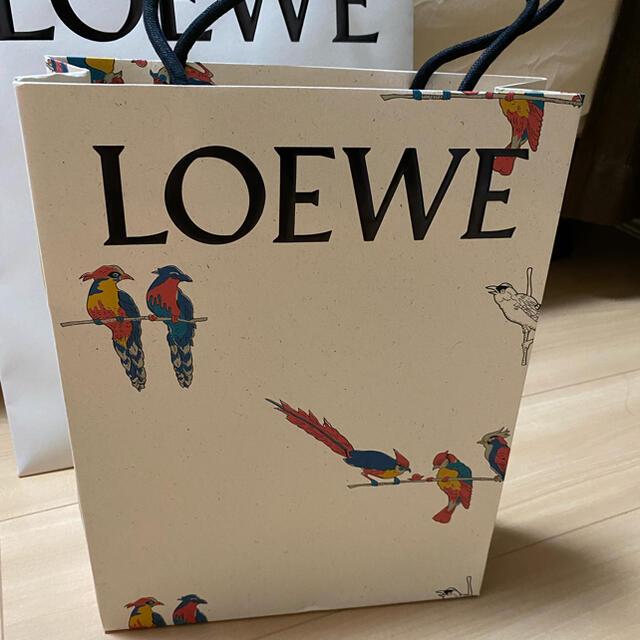 LOEWE(ロエベ)のロエベ　今季　限定　ショッパー　紙袋 レディースのバッグ(ショップ袋)の商品写真