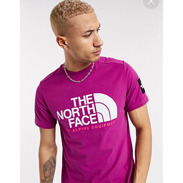 THE NORTH FACE(ザノースフェイス)のユニセックス ♪ ノースフェイス ファイン アルパイン Tシャツ EU パープル メンズのトップス(Tシャツ/カットソー(半袖/袖なし))の商品写真