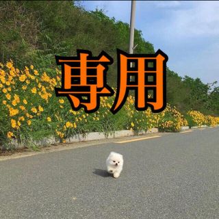 みき様専用(キャラクターグッズ)