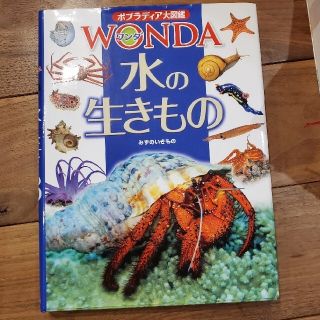 ポプラディア大図鑑３巻セット(絵本/児童書)