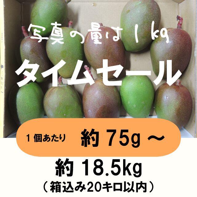 ［セール：橙20］約18.5キロ グリーンマンゴー 青マンゴー 摘果マンゴー 食品/飲料/酒の食品(フルーツ)の商品写真