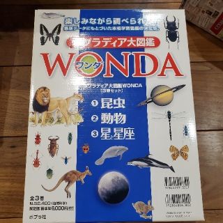 ポプラディア大図鑑ワンダ３巻セット(絵本/児童書)