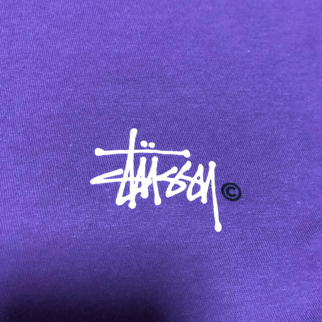 STUSSY(ステューシー)の半袖Tシャツ メンズのトップス(Tシャツ/カットソー(半袖/袖なし))の商品写真