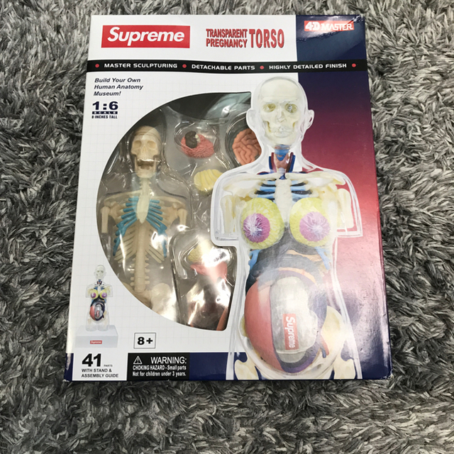 Supreme Anatomy Model 男女2体セット 人体模型