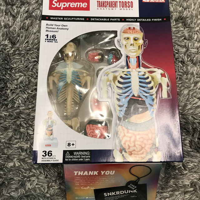 Supreme Male & Female Anatomy Model Set