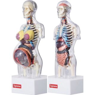 シュプリーム(Supreme)のSupreme Anatomy Model 男女2体セット　人体模型(模型/プラモデル)