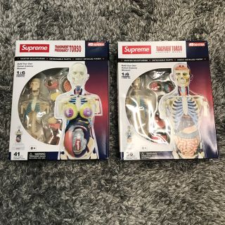 Supreme Anatomy Model 男女2体セット 人体模型