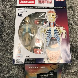 Supreme Anatomy Model 男女2体セット 人体模型