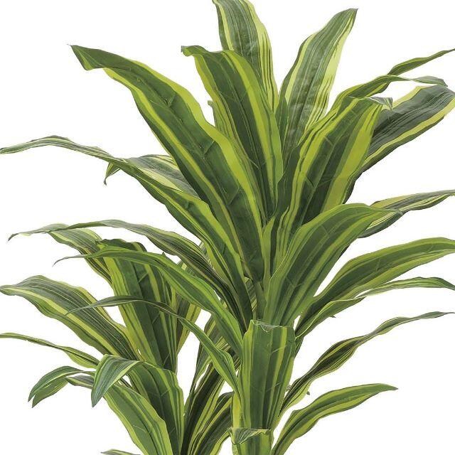 日本製〇フェイクグリーン 光の楽園 光触媒 人工観葉植物 ドラセナ1.25