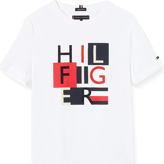 トミーヒルフィガー(TOMMY HILFIGER)のトミーヒルフィガー Tシャツ Lサイズ 新品(Tシャツ/カットソー(半袖/袖なし))