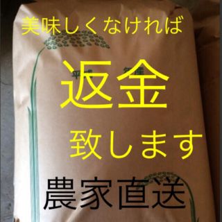 たぬき様専用　無農薬　純こしひかり　30㎏  玄米(米/穀物)