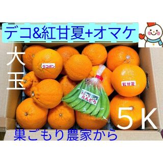 デコ＆紅甘夏５K大玉 ♥オマケで朝食にスナップ♥巣ごもり農家雪だるまから(フルーツ)