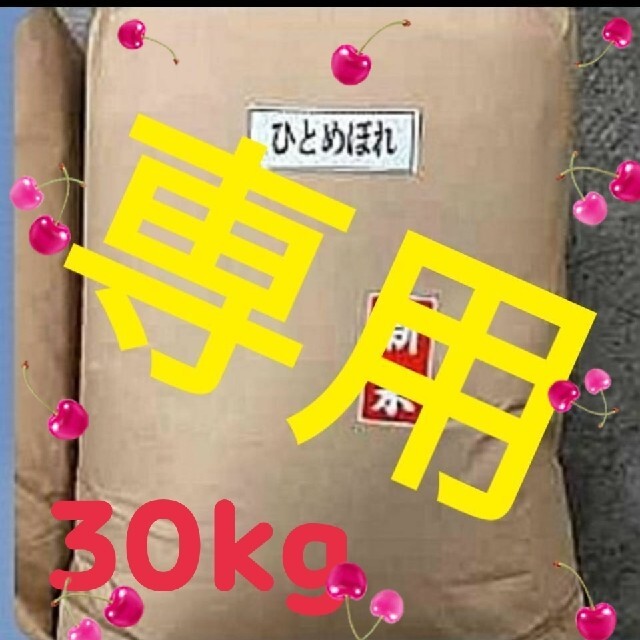 宅配 お米 乙女座ダイヤル様専用 岩手産ひとめぼれ 白米 精米済 30kg 米/穀物
