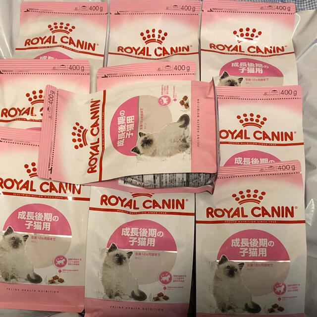 ROYAL CANIN(ロイヤルカナン)のロイヤルカナン 子猫用ドライフード キトン400g×10袋セット 成長後期の子猫 その他のペット用品(ペットフード)の商品写真