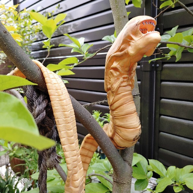 エイリアン ALIEN 1/1スケール チェストバスター 等身大 実物