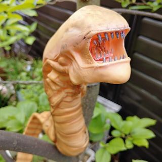 エイリアン ALIEN 1/1スケール チェストバスター 等身大 実物の通販