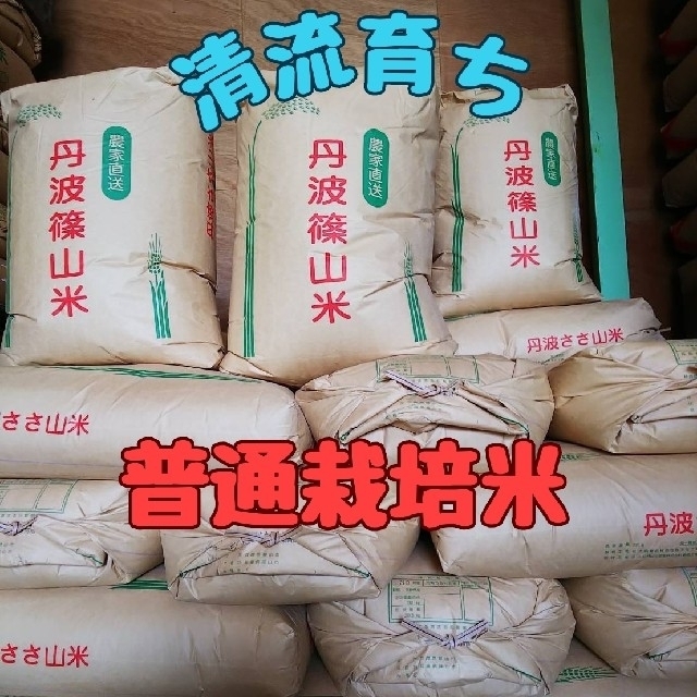 エフ子様専用商品です。【精米後発送】在庫少!令和6年産 茨城県産 コシヒカリ 1等米 玄米 20キロa。 新米 無洗米コシヒカリ30kg(目減り有り エフ子様専用商品です。未開封◆ 酵素ドリンク/ダイエット◆ヴィタリータ ラヴィ EX /栄養補助食品。 新米 無洗米コシヒカリ30kg(目減り有り