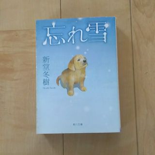 忘れ雪(文学/小説)