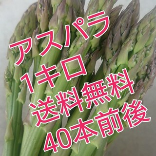 (送料無料)朝採れ会津産訳ありアスパラ約40本。(野菜)