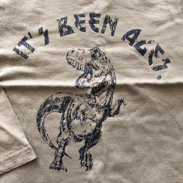 入荷中 デビロック 恐竜長袖Tシャツ 110 shellys.co.in