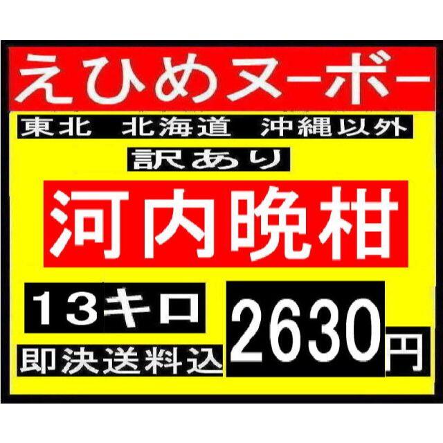 B4 えひめヌーボー　訳あり　河内晩柑　13キロ 食品/飲料/酒の食品(フルーツ)の商品写真