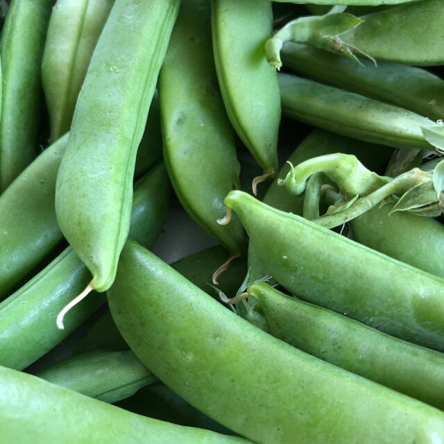 ⭐️無農薬⭐️ウスイエンドウ　 食品/飲料/酒の食品(野菜)の商品写真