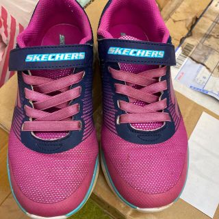 スケッチャーズ(SKECHERS)のSKECHERS スケッチャーズ 中履き外履き 女児 21cm(スニーカー)