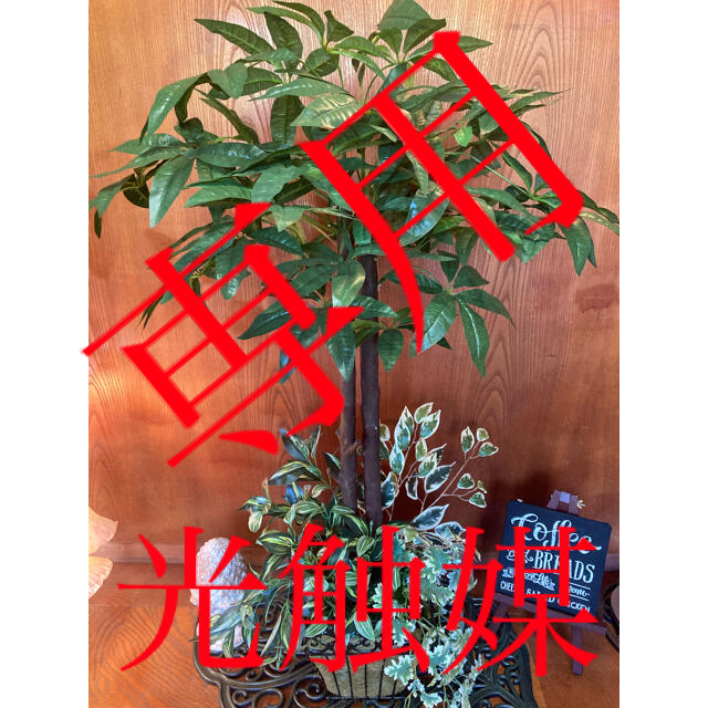 光触媒　人工観葉植物　ウォールグリーン　造花　アレンジ　パキラ124