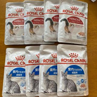 ロイヤルカナン(ROYAL CANIN)のロイヤルカナン猫　パウチキャットフード2種　8袋(ペットフード)