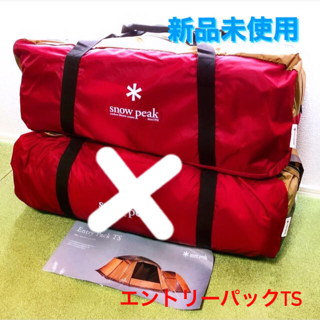 お得正規品 Snow メッシュシェルター TP-925 （エントリーパックts）の通販 by naoyuki's shop｜スノーピークならラクマ Peak - 最安 スノーピーク 日本製安い