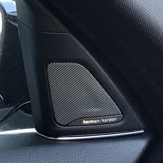 BMW(ビーエムダブリュー)の「美品」BMW5シリーズ　HARMAN / KARDONスピーカーカバー 自動車/バイクの自動車(カーオーディオ)の商品写真