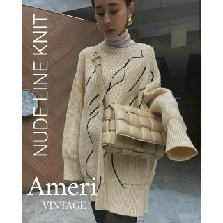 アメリヴィンテージ(Ameri VINTAGE)のAmeri NUDE LINE KNIT(ニット/セーター)