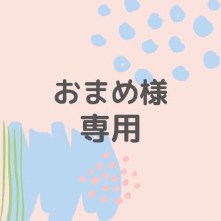 【三重県　伊勢海老ver マグネット&ステッカー】県内在住 / 県外ナンバー(車外アクセサリ)