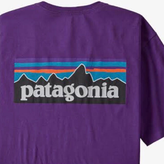 patagonia(パタゴニア)の新品タグ付　海外限定　パタゴニア オーガニックコットンTシャツ P-6 メンズのトップス(Tシャツ/カットソー(半袖/袖なし))の商品写真