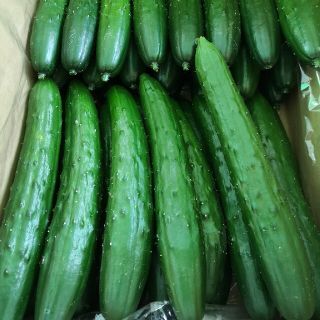 きゅうり☆５キロ☆(野菜)