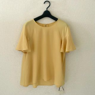 ユナイテッドアローズグリーンレーベルリラクシング(UNITED ARROWS green label relaxing)のグリーンレーベル♡新品♡プルオーバーシャツ(シャツ/ブラウス(半袖/袖なし))