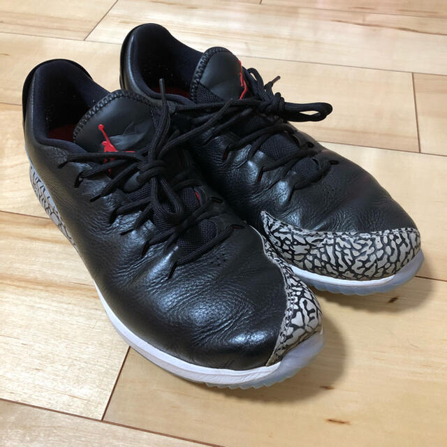 NIKE(ナイキ)の【中古】JORDAN ADG 27.5cm スポーツ/アウトドアのゴルフ(シューズ)の商品写真