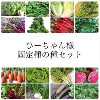 ひーちゃん様　固定種の種セット(野菜)