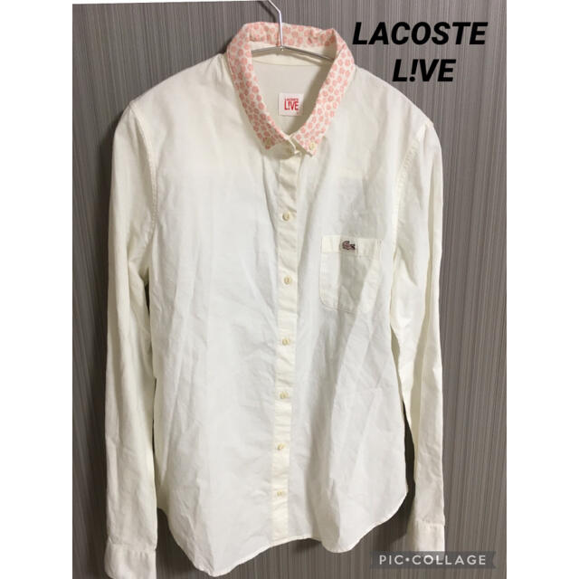 LACOSTE L!VE(ラコステライブ)の【かわいいピンクワニロゴ】　LACOSTe L!ve ラコステライブ　シャツ　白 レディースのトップス(ポロシャツ)の商品写真