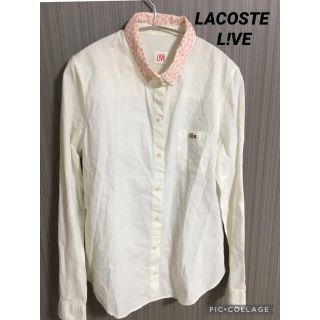 ラコステライブ(LACOSTE L!VE)の【かわいいピンクワニロゴ】　LACOSTe L!ve ラコステライブ　シャツ　白(ポロシャツ)