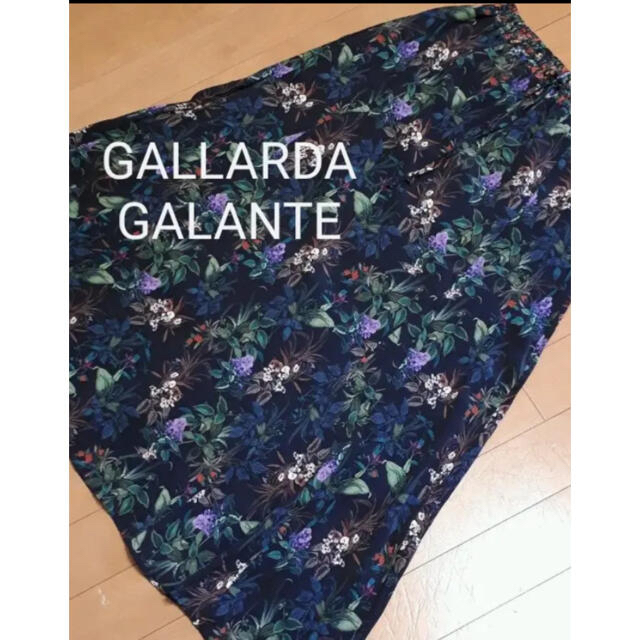 GALLARDA GALANTE(ガリャルダガランテ)のガラリュダガランテ　GALLARDA GALANTE  ボタニカル柄　スカート レディースのスカート(ロングスカート)の商品写真