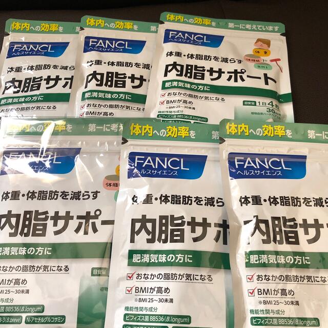 内脂サポート30日　6袋ダイエット食品