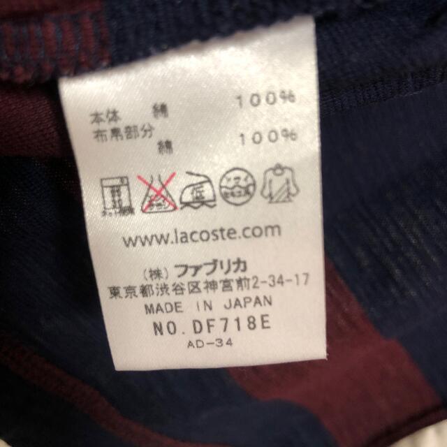 LACOSTE(ラコステ)のラコステ　レディース　シャツ　綿 レディースのトップス(シャツ/ブラウス(長袖/七分))の商品写真