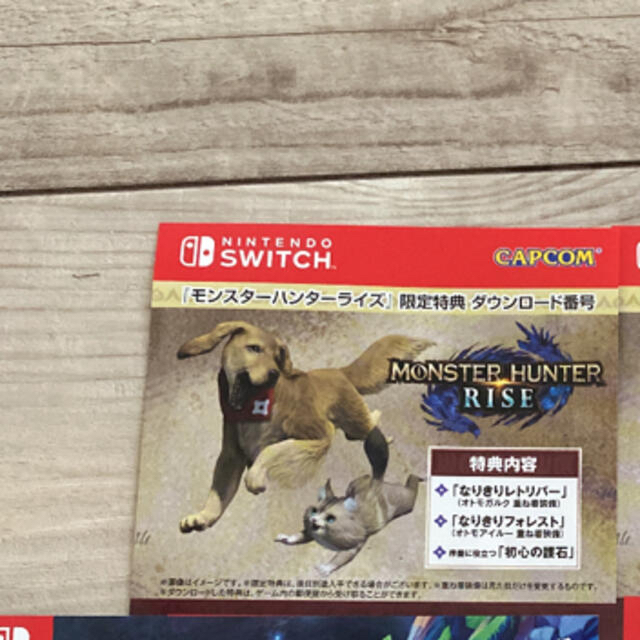 モンスターハンターライズ Switch 限定特典付き 1