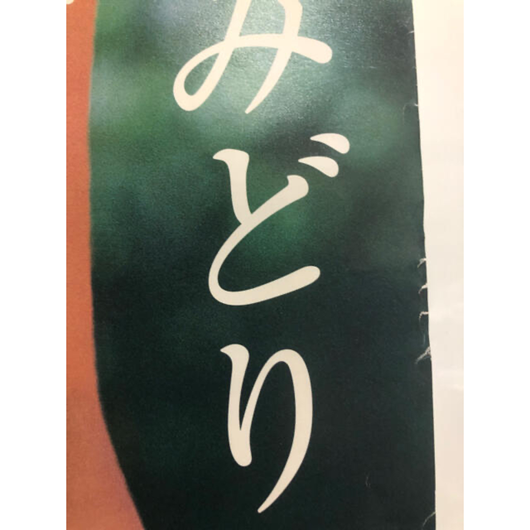 B2ポスター 田中麗奈 富士カラー 非売品 きみどりみどりキミ B2ポスター 田中麗奈 富士カラー 非売品 きみどりみどりキミ