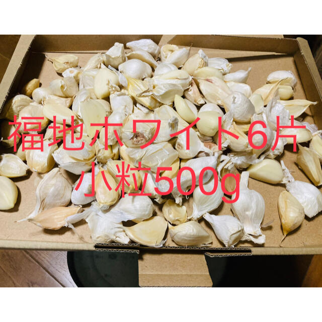 青森県産　福地ホワイト小粒生ニンニク500g にんにく 食品/飲料/酒の食品(野菜)の商品写真